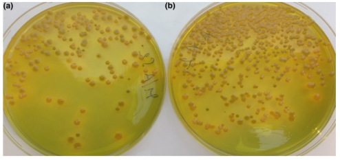 1714187472509874.png image.png